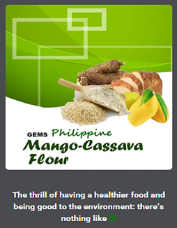 Mango-Cassava Flour